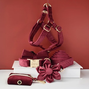 Personalized Engraved Handmade Thick Velvet Burgundy Dog Collar or Dog Collar and Lead Set, Matching Bowtie and Step In Harness Available