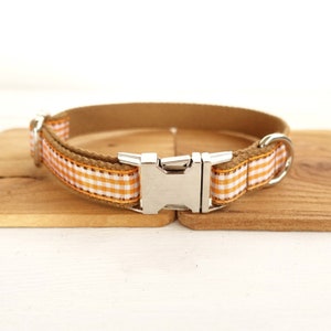 Orange Scotland Design Dog Collar