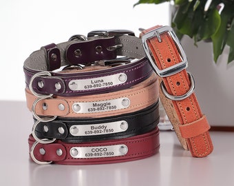 Leather Dog Collar Personalized Engraved Genuine Leather Padded with Custom Name Plate for Cat, Puppy and Small Dog Collar