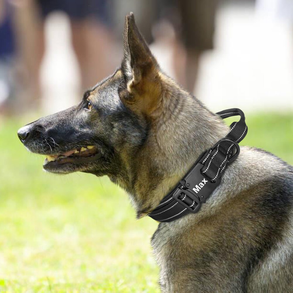 Tactical Dog Collar 1 5 Inch Wide Reflective Custom Name Etsy