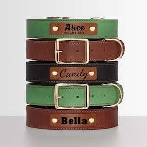 Personalized Laser Engraved Genuine Leather Dog Collar, Soft LeatherPet Necklace for Medium Large Dogs