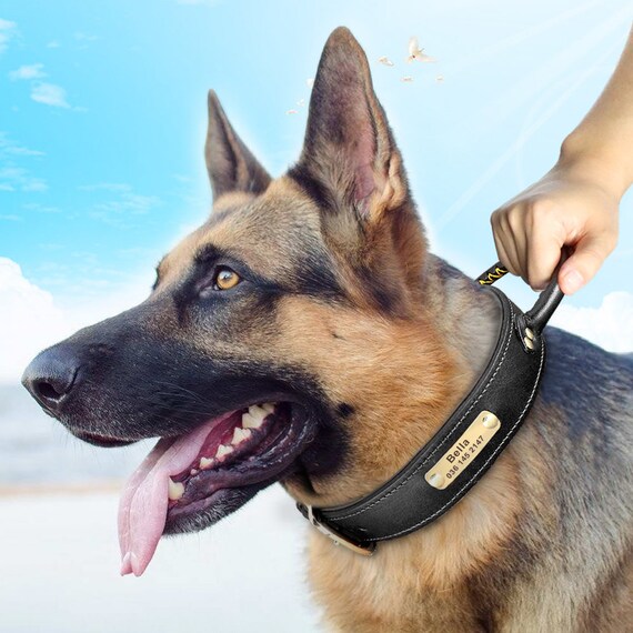 Gepersonaliseerde Hondenhalsband met Naam