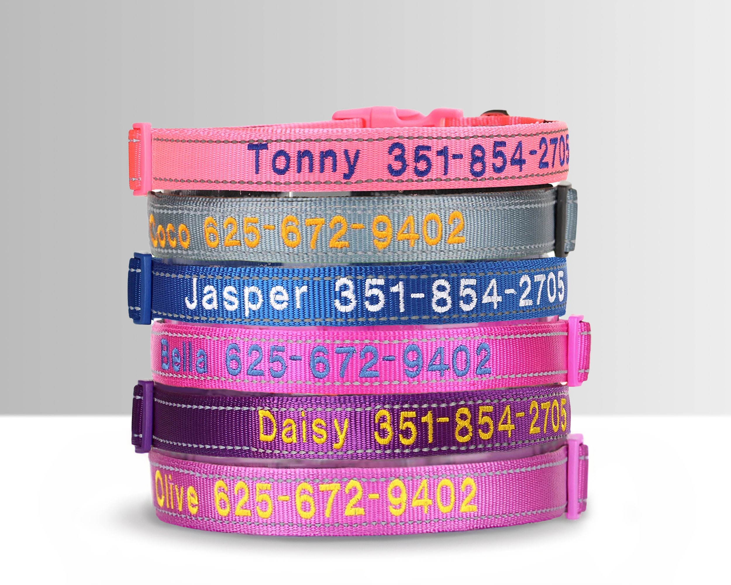 TagME Personnalisé Collier Et Laisse Pour Chien, Colliers En Nylon Brodé & 1,5M Double-Face Réfléchissant Laisse Pour Chiot, Petit, Moyen, Grand Chiens (S:2.0x25-40cm (Lot De 1), Vert