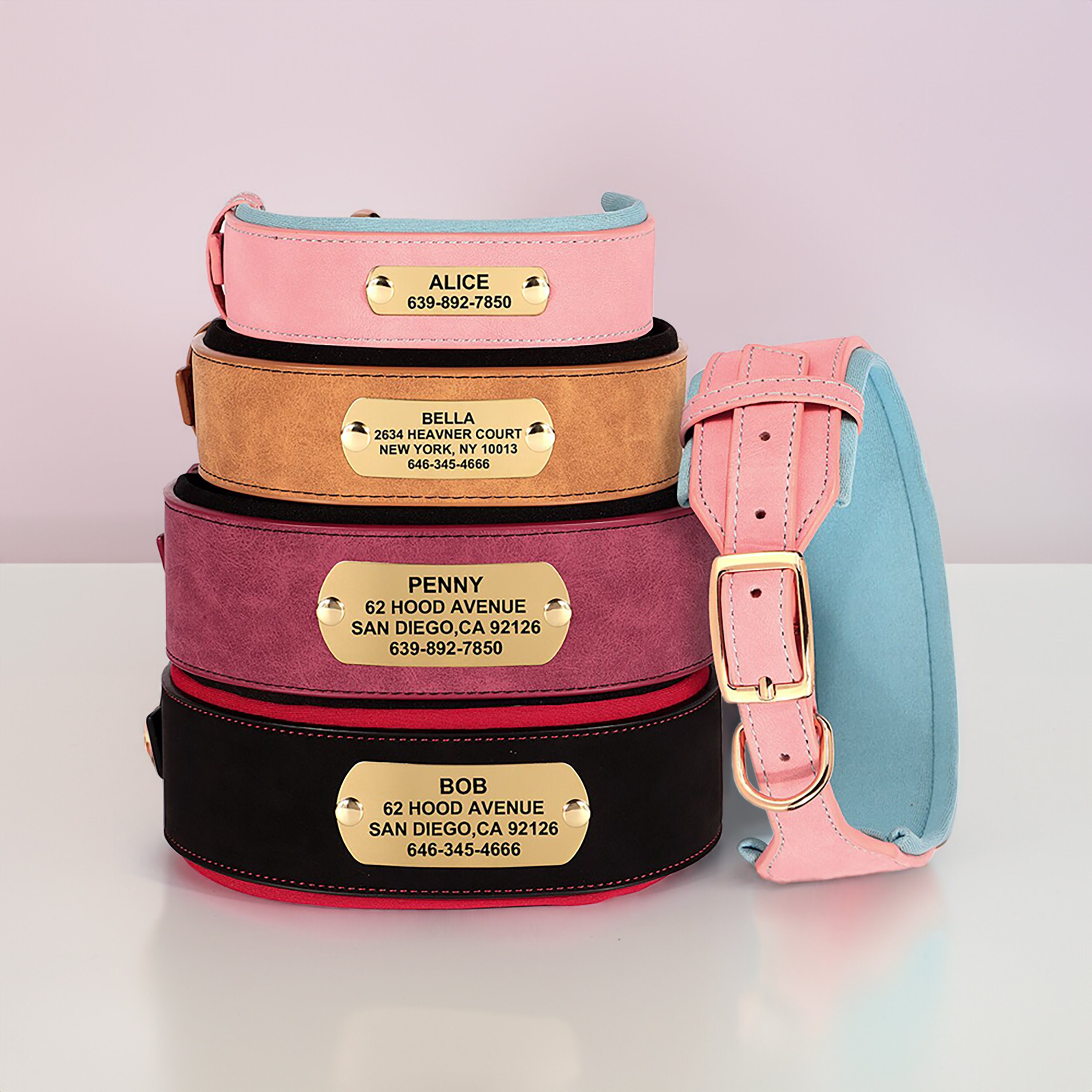 Bully Dog Collars Etsy Australia