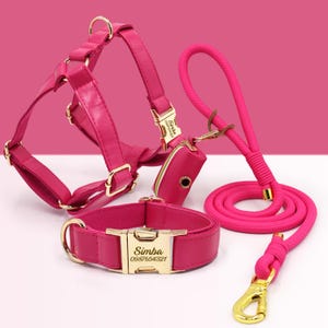 Collier pour chien en cuir PU, collier/harnais/laisse/sac de caca, laisse pour collier de chien rose vif, boucle en métal gravée, cadeau de mariage pour chiot, Australie