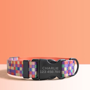 Personalized Multi-Colored Lightweight Dog Collar, Personalized Premium Dog Collar or Dog Collar and Leash Set with Matching Bowtie Neon Plaid