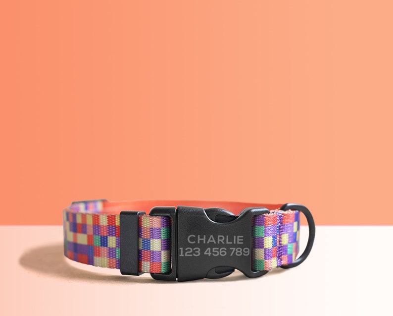 Personalized Multi-Colored Lightweight Dog Collar, Personalized Premium Dog Collar or Dog Collar and Leash Set with Matching Bowtie Neon Plaid