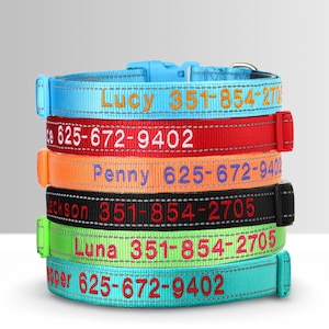 Personalized Reflective Dog Collar, Custom Embroidered Nylon Name for Small to Large Dog, Red, Blue, Green, Au, Us, Uk, Ca Fast Free Ship