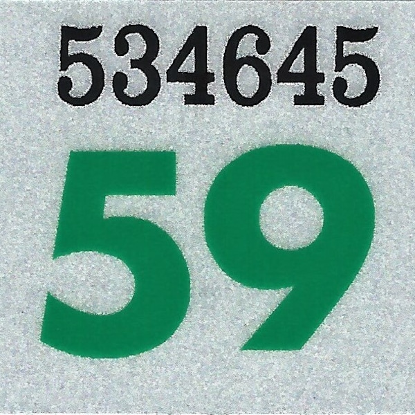 License Plate Year Stickers Etsy