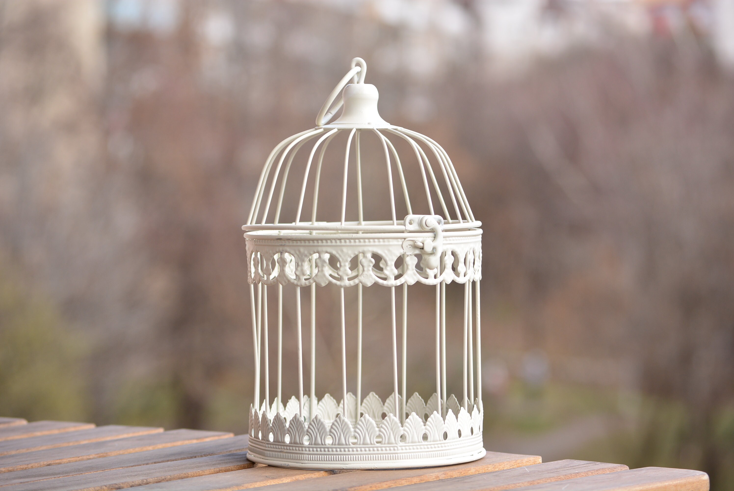 Cómo Decorar Una Jaula Para Pájaros: Ideas Creativas Para Cualquier Evento