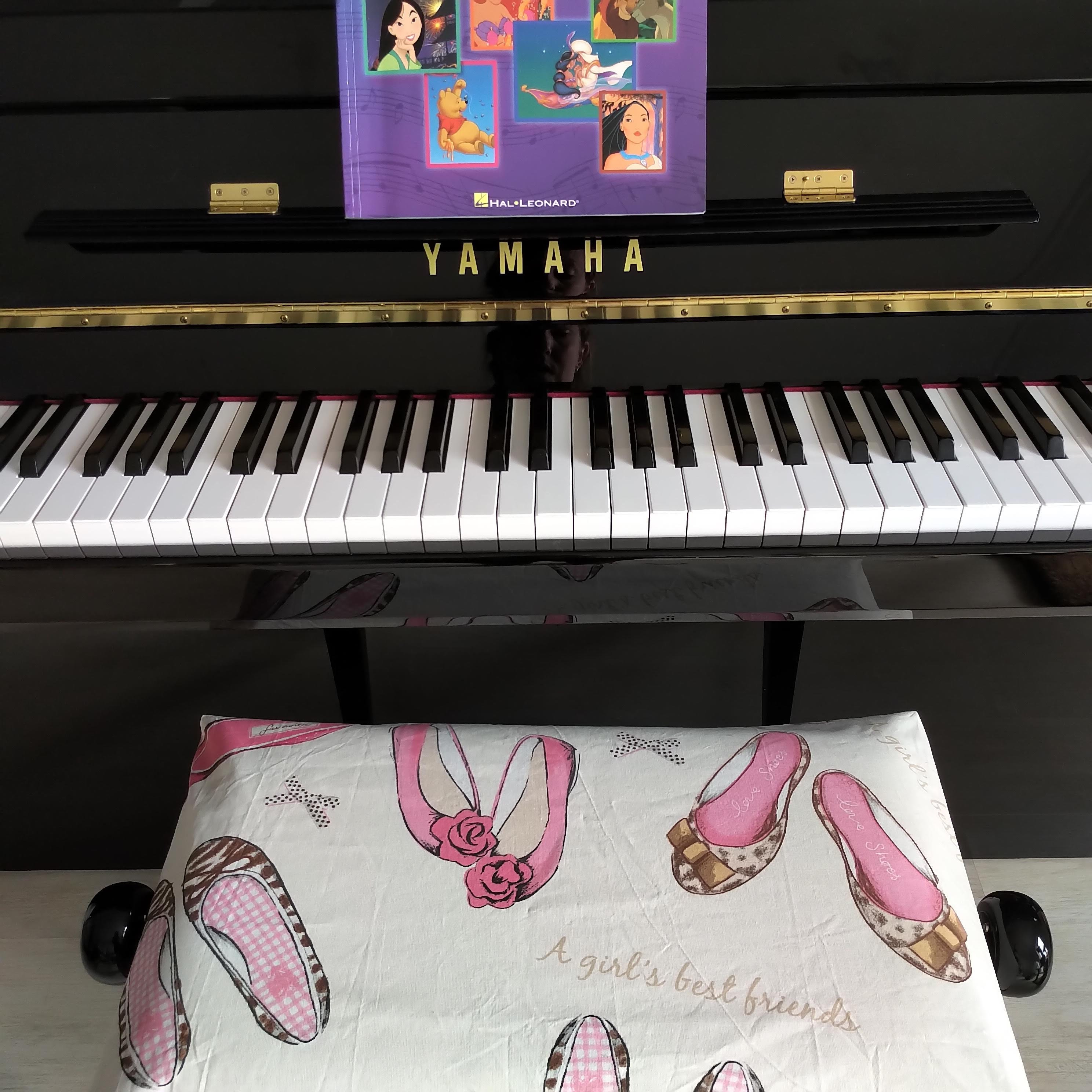 Piano Bench Cover - My Shoes