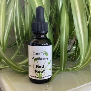 Red Root Tincture 1 oz. Dried Root