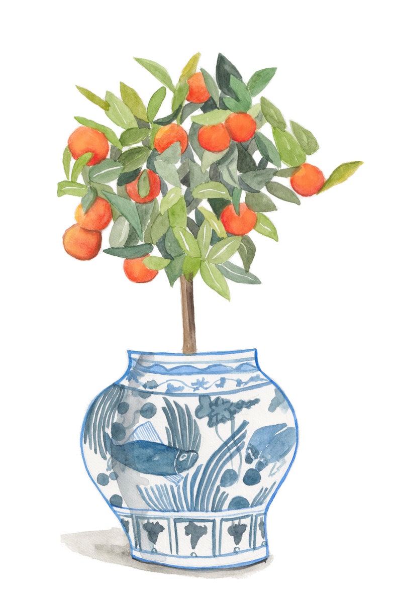 May include: A watercolour painting of a small orange tree with green leaves and orange fruit growing in a blue and white porcelain vase with a fish design.