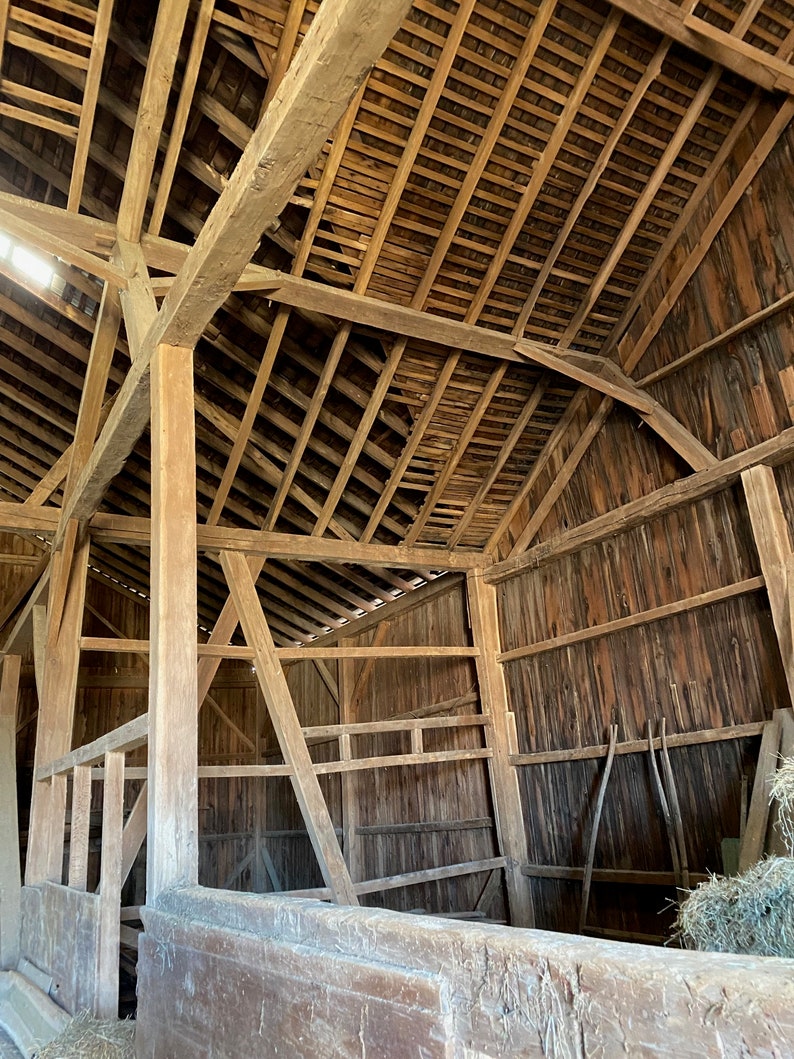 10 Boards Premium Clear White Pine Craft Wood Old Growth Etsy