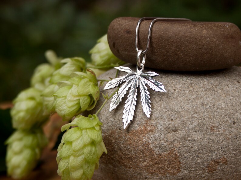 May include: A silver marijuana leaf pendant necklace on a silver chain, resting on a brown rock with green hops in the background.