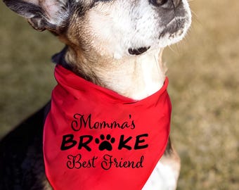 Momma's Broke Bestie Dog Bandana Quote SVG PNG (Digital Download)