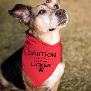 Caution Our Dog Can&#39;t Hold Her Licker SVG-Funny Dog SVG - Dog Bandana SVG - Dog Quote Bundle - Pet Shirt Cricut Cut Files-Dog shirt-cute dog