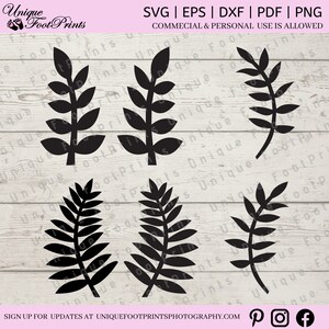 Paquete de hojas SVG, hojas SVG, hojas cortadas SVG, elementos de corona SVG, naturaleza SVG, plantas SVG, Cricut SVG, silueta SVG, hojas de flores SVG