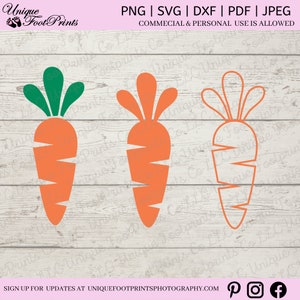Vegetables Svg | Silhouette Files | Spring Svg | Carrot Png | Svg File For Cricut | Easter Shirt Svg | Spring Decoration | Carrot Svg
