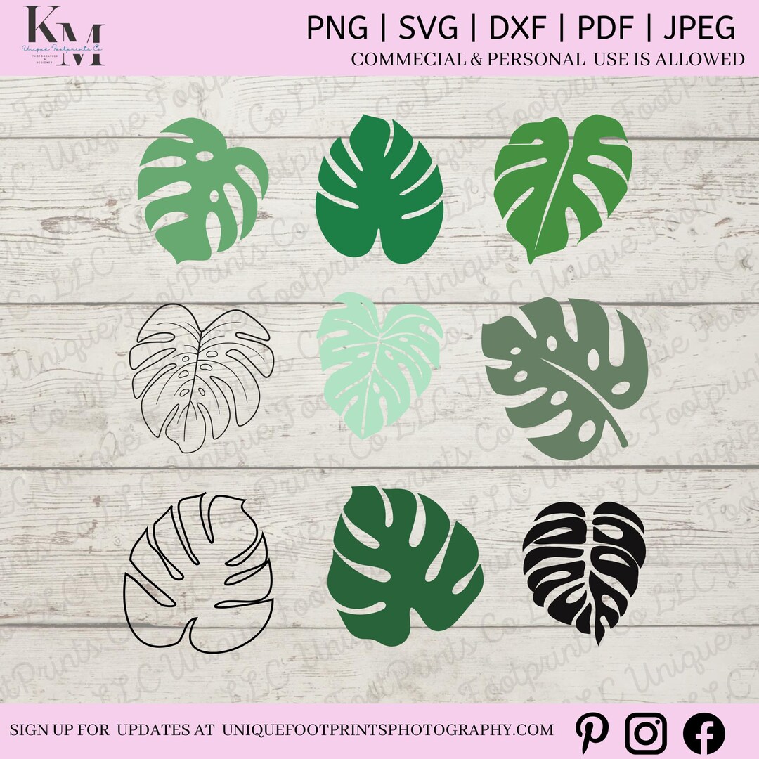 Monstera SVG Bundle - Tropical Leaves SVG - Jungle Leaves Clipart ...