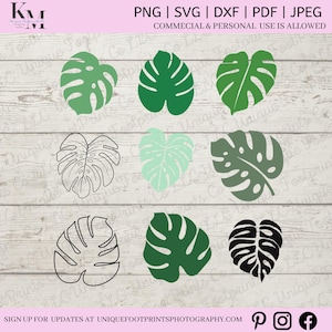 Monstera SVG Bundle - Tropical Leaves SVG - Jungle Leaves Clipart - Palm Leaf Cut Files - Commercial Use Included