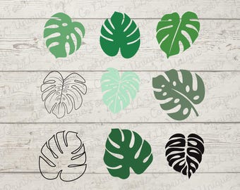 Monstera SVG Bundle - Tropische Blätter SVG - Dschungel Blätter Clipart - Palmenblatt Schnittdateien - kommerzielle Nutzung inklusive