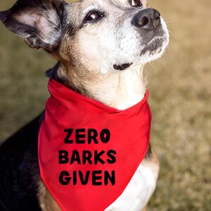 Zero barks SVG hond citaten SVG bundel - grappige hond bandana SVG - hond moeder shirt ontwerp - huisdierliefhebber gesneden bestanden voor Cricut silhouet - huisdier bandana