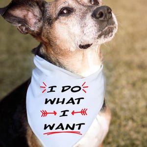 dog shirt svg, dog lover svg, fur mama svg, dog shirt, dog lovers, dog dad, dog bandana, pet svg, dog quote svg, paw print svg,funny dog svg