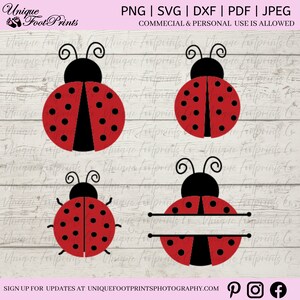 Nyckelpiga SVG-paket - Lagerbaserade Clipart-designer (digital nedladdning)