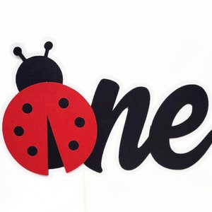 Little Ladybug ONE Cake Topper, Cute As A Bug Birthday Party Decorations, Baby Girl 1st Birthday Smash Cake Topper Garden Party Decor image 1