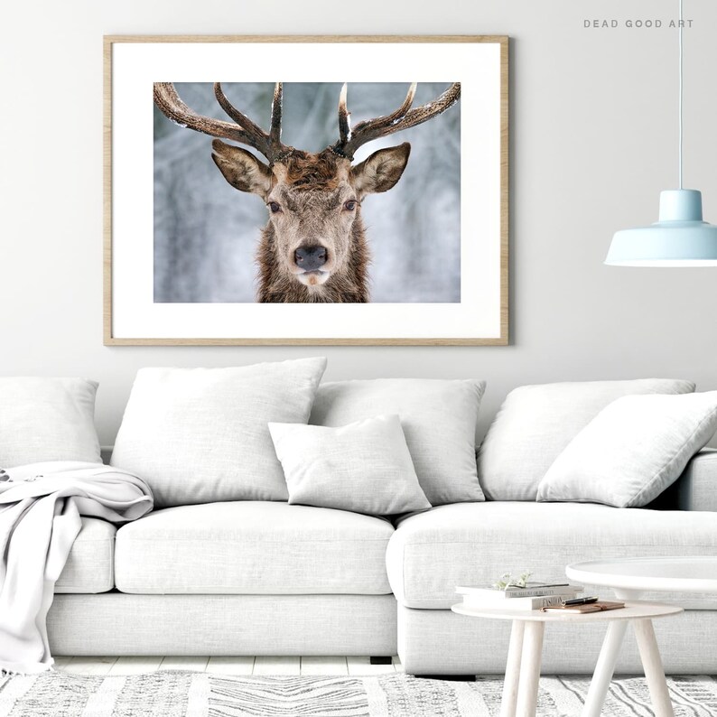 Winter Deer Wall PRINTABLE Deer Art Print Deer Poster Deer Etsy