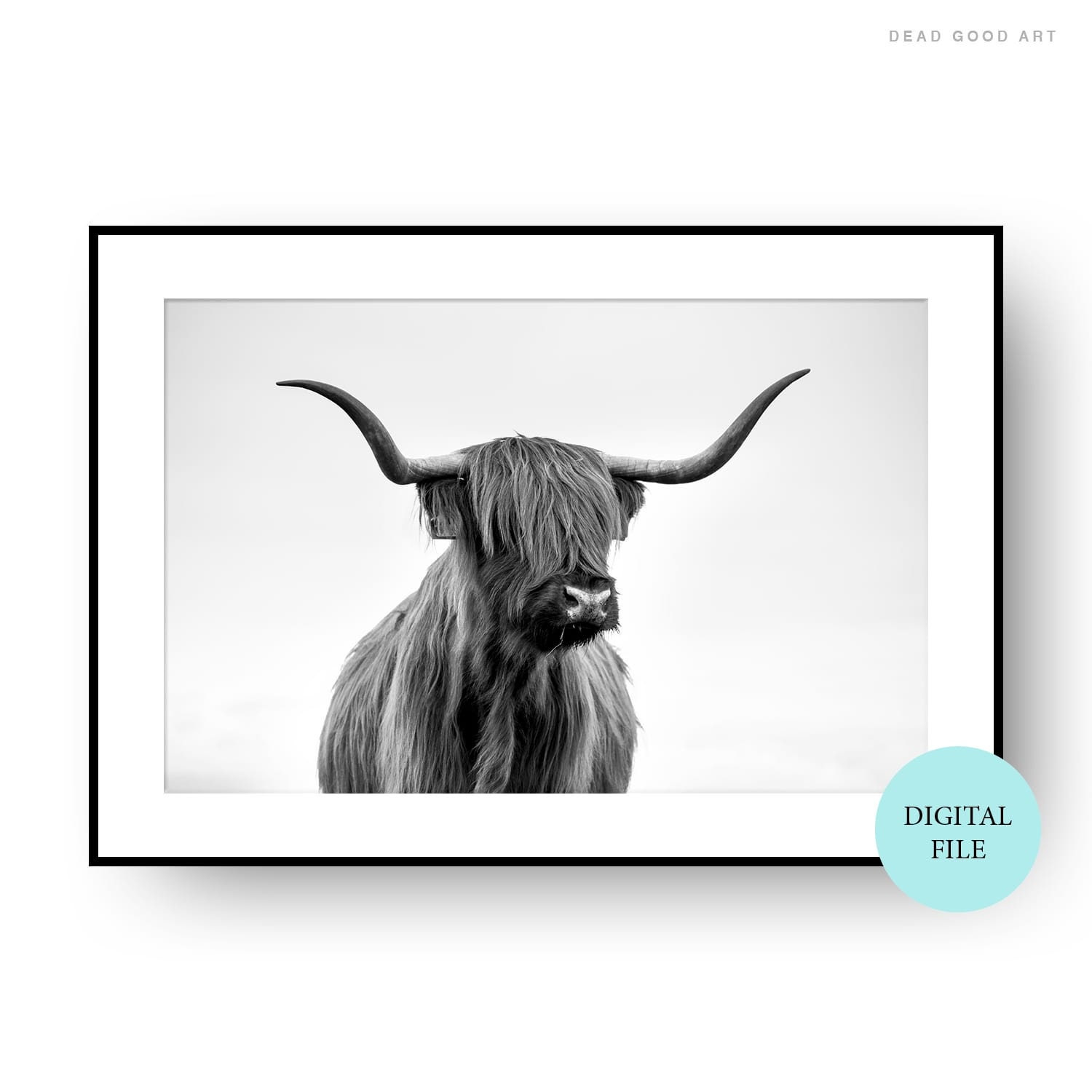 Highland Cow Black and White PRINTABLE Highland Cow Poster Etsy