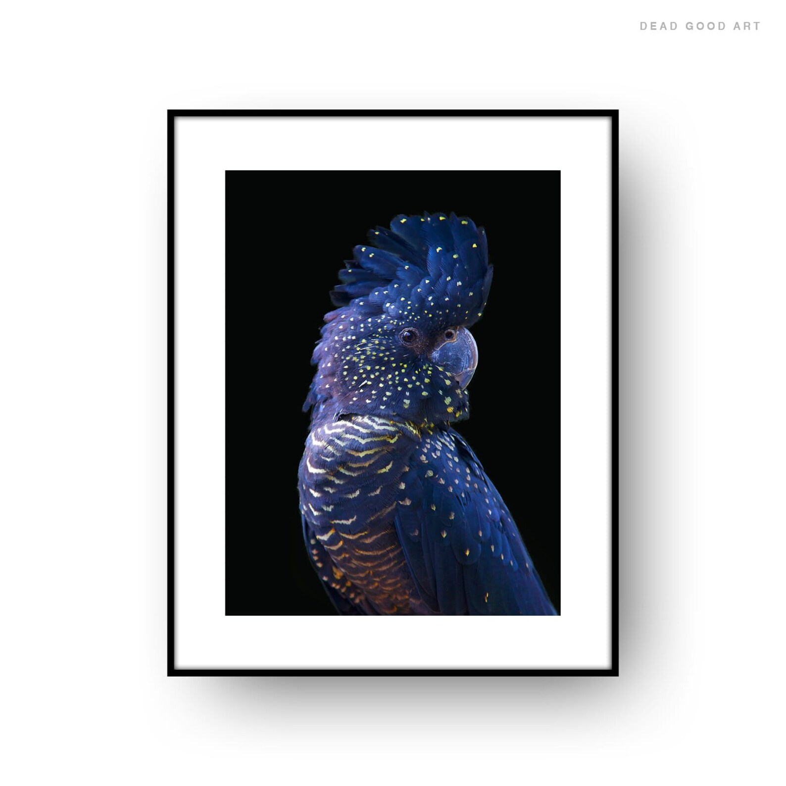 Black Cockatoo Print Australian Bird Print Wall Art Parrot Etsy UK