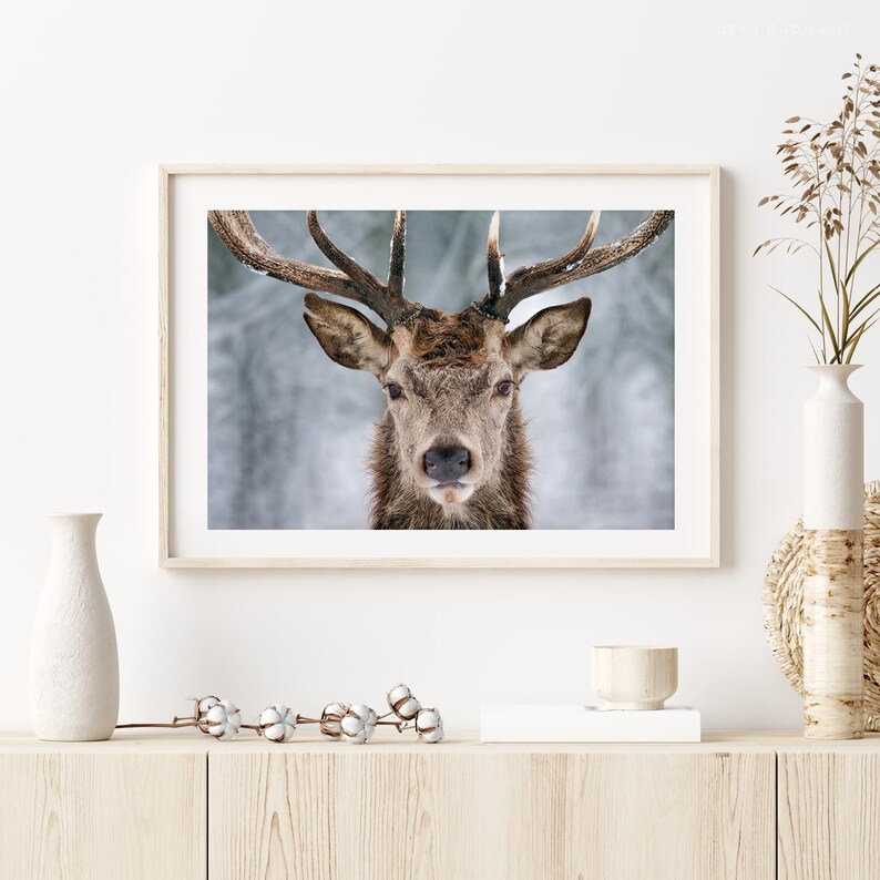 Winter Deer Wall PRINTABLE Deer Art Print Deer Poster Deer Etsy