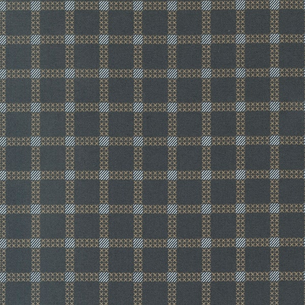 Dawn on the Prairie Charcoal Ni, Stitch Check, Checks and Plaids,  designed by Fancy That Design House for Moda Fabrics, 45575-19