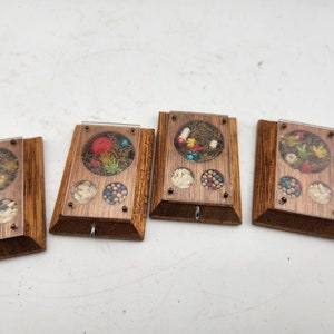 May include: Four small wooden frames with clear plastic inserts, each containing a different assortment of dried flowers, leaves, and seeds. The frames are all the same size and shape, and they are arranged in a row.