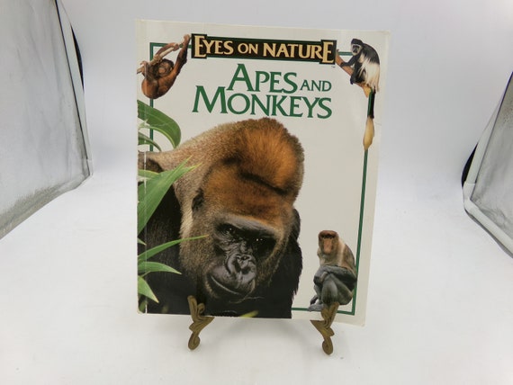 ArteKids: Bilingual Books to Discover Art with Young Children - All Done  Monkey