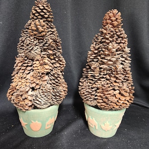 May include: Two small pine cone trees in green pots with a brown, white, and orange design. The pots have a star, house, and apple design.