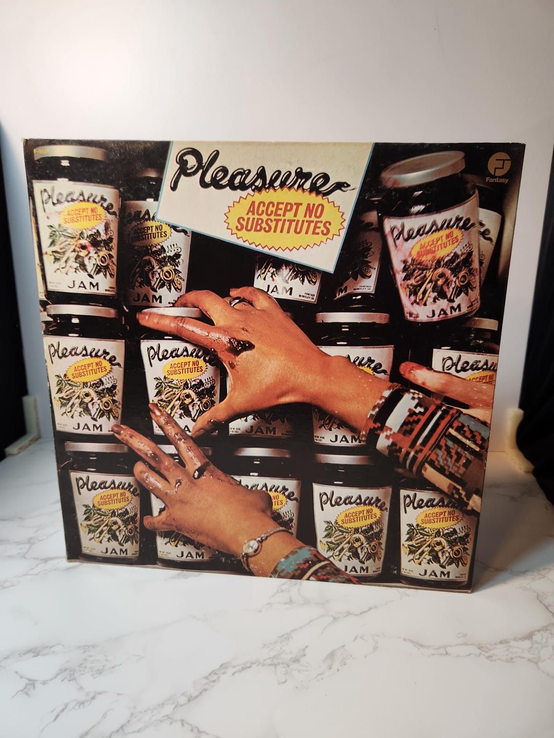 Vintage LP 33 RPM Vinyl Record Album - Pleasure - Accept No Substitutes ...