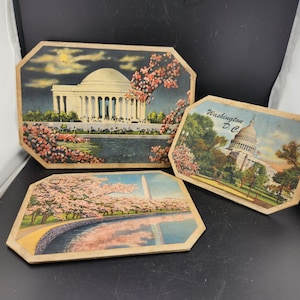 May include: Three vintage postcards featuring images of Washington D.C. The first postcard shows the Jefferson Memorial with cherry blossoms in the foreground. The second postcard shows the Washington Monument with cherry blossoms in the foreground. The third postcard shows the Capitol Building with cherry blossoms in the foreground. All three postcards have a light brown background.
