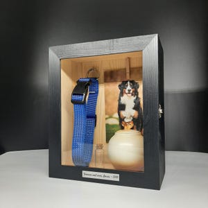 May include: A black framed shadow box containing a blue dog collar, a photograph of a Bernese Mountain Dog, a small glass bottle, and a white urn. The text "Forever and ever Amen - 2019" is on a silver plaque.