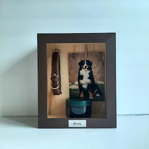 May include: A pet memorial box featuring a brown leather dog collar, a photograph of a Bernese Mountain Dog, and a small black jar. The box has a dark brown frame, and the dog's name, "Barney", is printed on a white label.