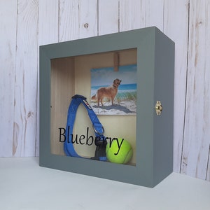 May include: A grey wooden shadow box with a glass front. Inside the box is a photo of a golden retriever, a blue dog collar, and a tennis ball. The box is labelled "Blueberry".