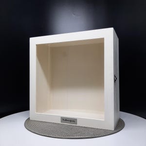 May include: White wooden shadow box with a glass front and a silver plaque on the bottom that reads "The McManus Family".