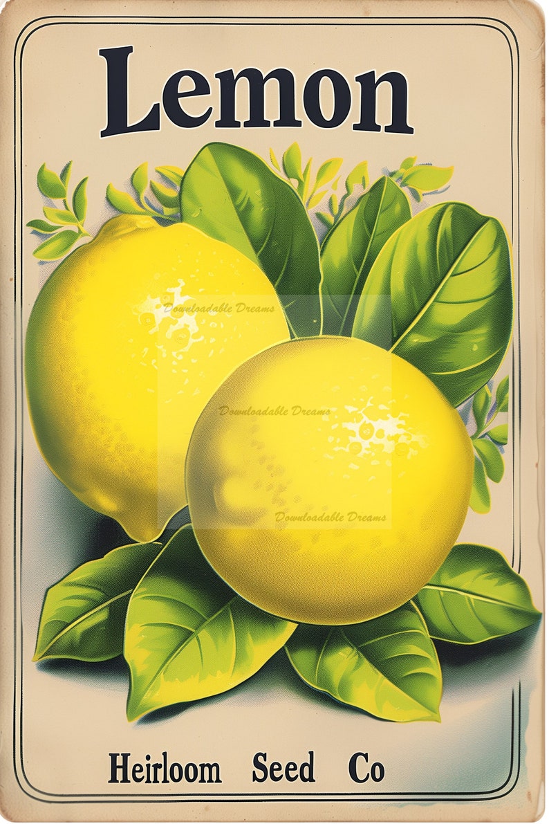 15 Vintage Fruit Seed Packet PNG Clipart: Scrapbooking Kit (digital ...