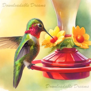 18 Colorido Beija-flor Aquarela Clipart Pacote Kit de Scrapbooking Convites Diários Pássaro em vôo no alimentador Verde Roxo Penas