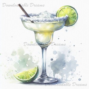 20 Pacote de clipart aquarela Margarita Download de imagem digital de alta qualidade Direitos comerciais Convites Revistas Cinco De Mayo Arte Mexicana