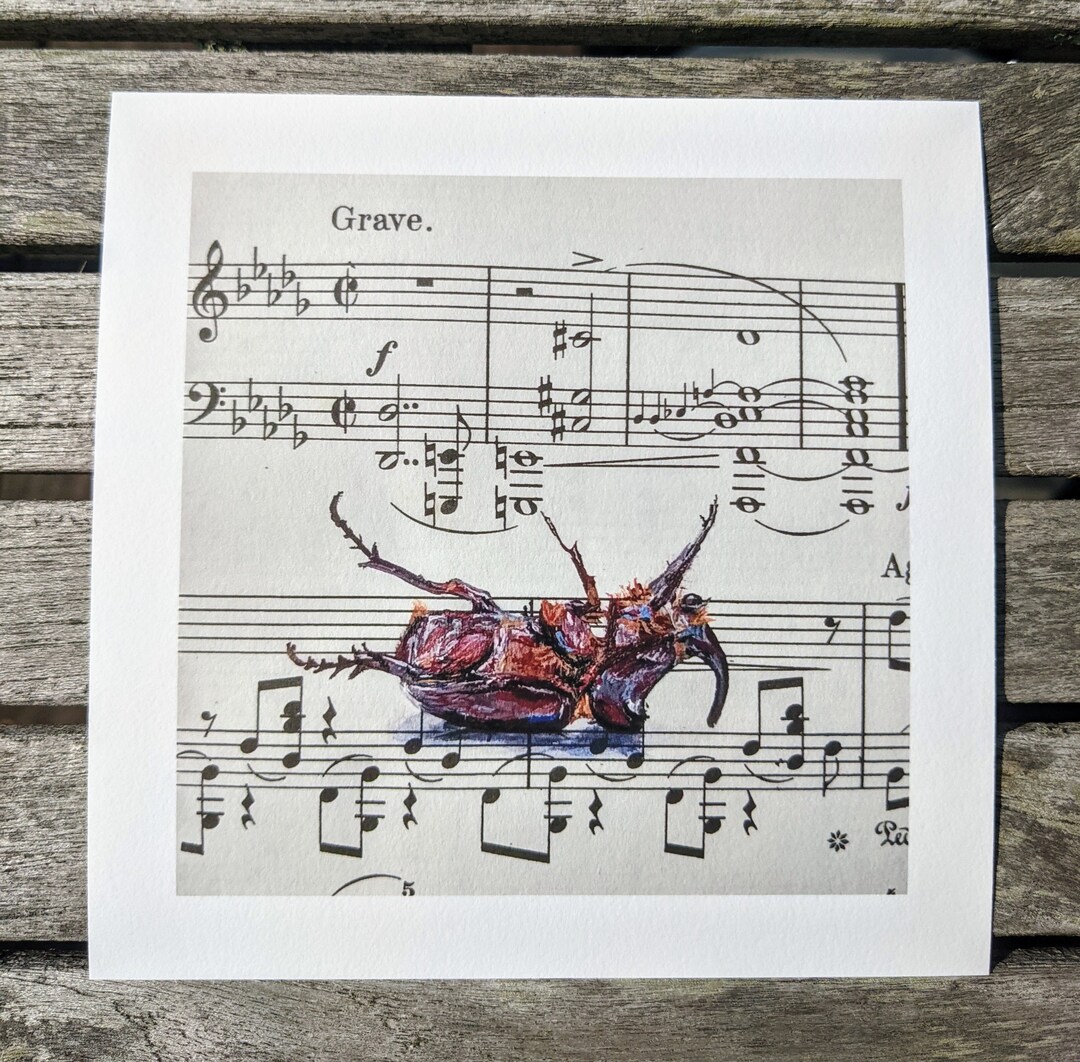Grave Beetle Art Print: Insect on Sheet Music, Funny Musician Gift - Etsy