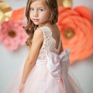 V Back Pink French Lace Tulle Wedding Flower Girl Dress/Kids Birthday Party Dress/Little Girl Dress/Kids Couture Dress