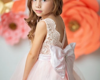 V Back Pink French Lace Tulle Wedding Flower Girl Dress/Kids Birthday Party Dress/Little Girl Dress/Kids Couture Dress